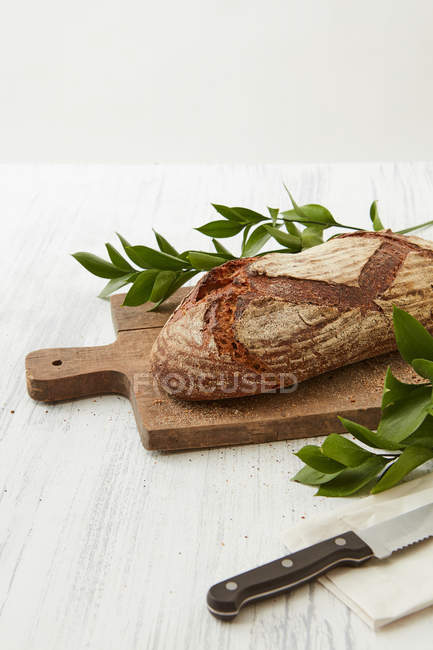 Fresh loaf of bread with green branches — Stock Photo