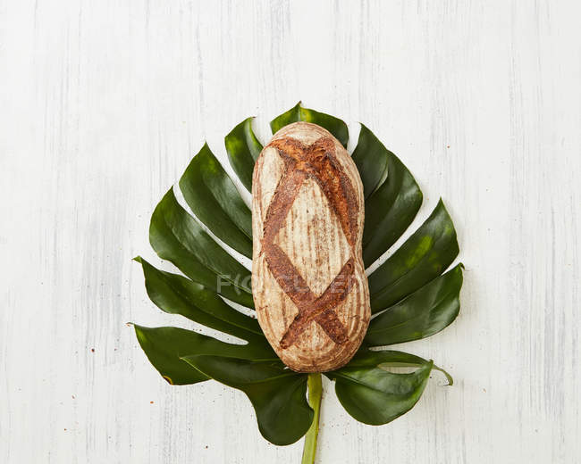 Loaf of fresh bread on leaf — Stock Photo