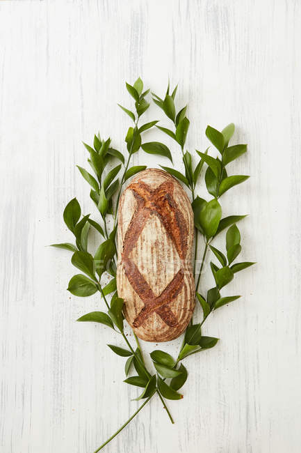 Loaf of fresh bread with green branches — Stock Photo