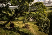 Man resting under tree while walking on highlands — Stock Photo