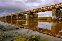 View of lilly pads and railroad bridge — Stock Photo
