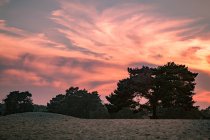 Закат над песчаными дюнами в лесу — стоковое фото
