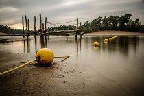 Boyas amarillas en la orilla del lago - foto de stock