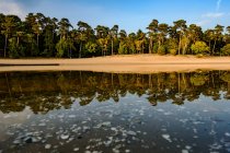 Rive du lac avec des reflets d'arbres — Photo de stock