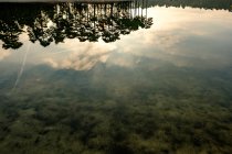 Riva del lago con riflessi arborei — Foto stock
