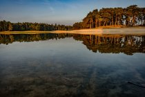 Margem do lago com reflexos de árvores — Fotografia de Stock
