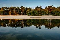 Margem do lago com reflexos de árvores — Fotografia de Stock