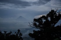 Volcán en nubes y siluetas de árboles - foto de stock