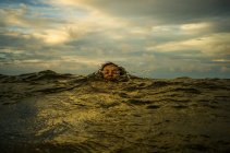 Mädchen taucht aus dem Wasser — Stockfoto