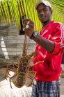 Homme montrant crabe à la caméra — Photo de stock