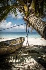 Canoe under palm tree on island beach — Stock Photo