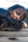 Woman sunbathing with dog — Stock Photo