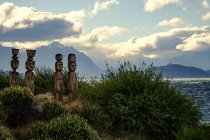 Деревянные статуи в кустах — стоковое фото