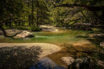 Bellissimo fiume di montagna — Foto stock