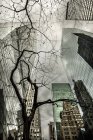 Vista dal basso dei grattacieli di Manhattan — Foto stock