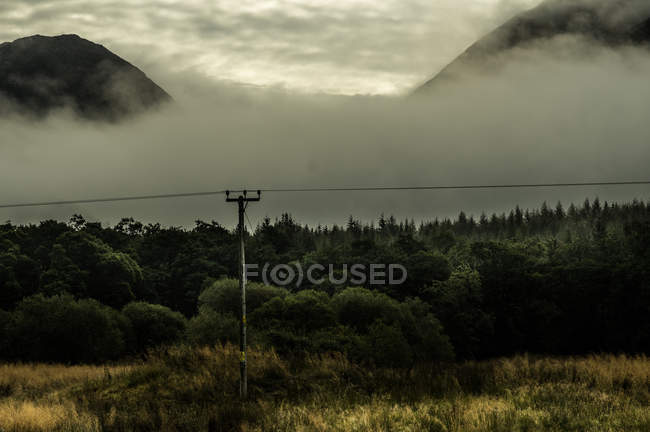 Saftig grüne Hänge im Nebel — Stockfoto