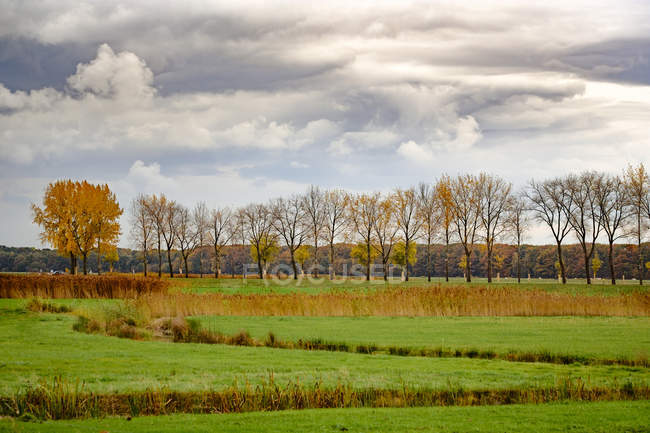 Blick auf grüne Weiden unter bewölktem Himmel — Stockfoto