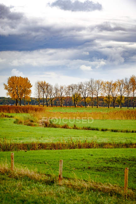 Blick auf grüne Weiden unter bewölktem Himmel — Stockfoto