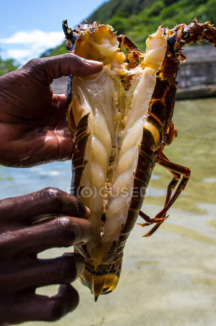 Person holding crab — Stock Photo