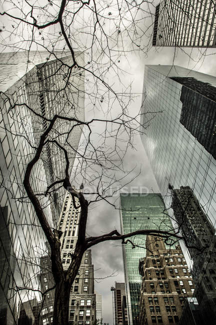 Vista inferior de rascacielos en Manhattan - foto de stock
