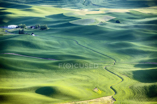 Paisaje de granja en el Palouse - foto de stock