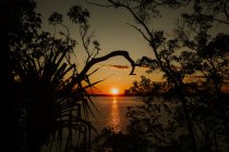 Blick auf den Sonnenuntergang am See — Stockfoto