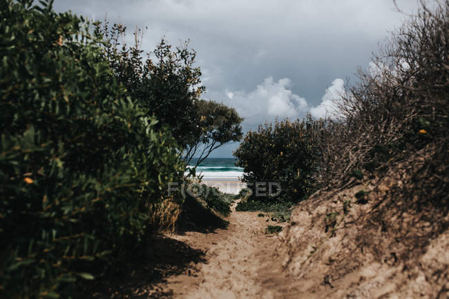 Vue paysage sur la plage de sable — Photo de stock