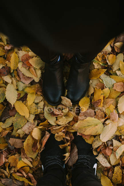 Две пары ног в осенних листьях — стоковое фото