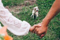 Пара держась за руки с собакой на траве — стоковое фото