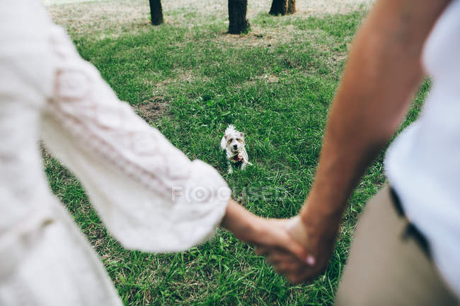 Casal de mãos dadas com cão na grama — Fotografia de Stock