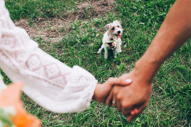Пара держась за руки с собакой на траве — стоковое фото