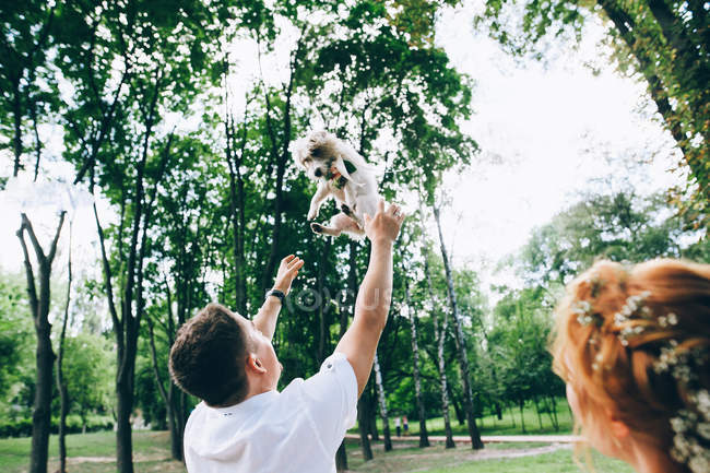 Bride and groom having fun with dog — Stock Photo