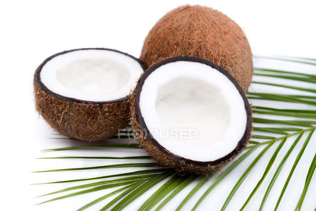 Noix de coco mûres biologiques — Photo de stock