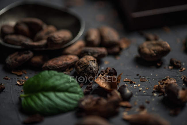 Какао-бобы с мятным листом на столе — стоковое фото