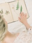 Bride touching dried fern leaves — Stock Photo