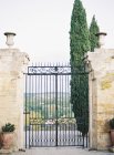 Ornate metal gate with picturesque landscape — Stock Photo