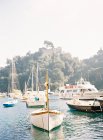 Barche e yacht ancorati al porto — Foto stock
