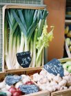 Fresh leek with garlic and onion — Stock Photo