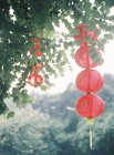 Red paper lanterns — Stock Photo