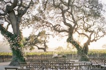 Decorated place for wedding ceremony — Stock Photo
