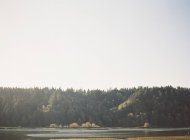 Lake near forest in countryside — Stock Photo