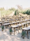 Cadeiras na cerimônia de casamento — Fotografia de Stock