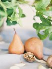 Свіжі груші і горіхи — стокове фото