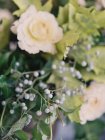 Fresh roses in bouquet — Stock Photo