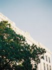 Facciata dell'edificio con alberi di fronte — Foto stock
