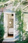 Ivy covered facade — Stock Photo