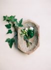 Petit bouquet de roses blanches — Photo de stock