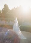 Невеста, гуляющая в саду — стоковое фото