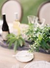 Setting table decorated with plants — Stock Photo