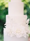 Wedding cake decorated with leaves — Stock Photo
